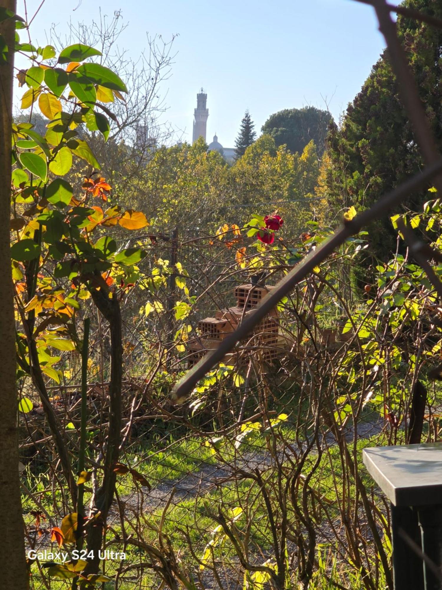 Podere Ponticini Siena Eksteriør billede